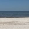 savannahsintown